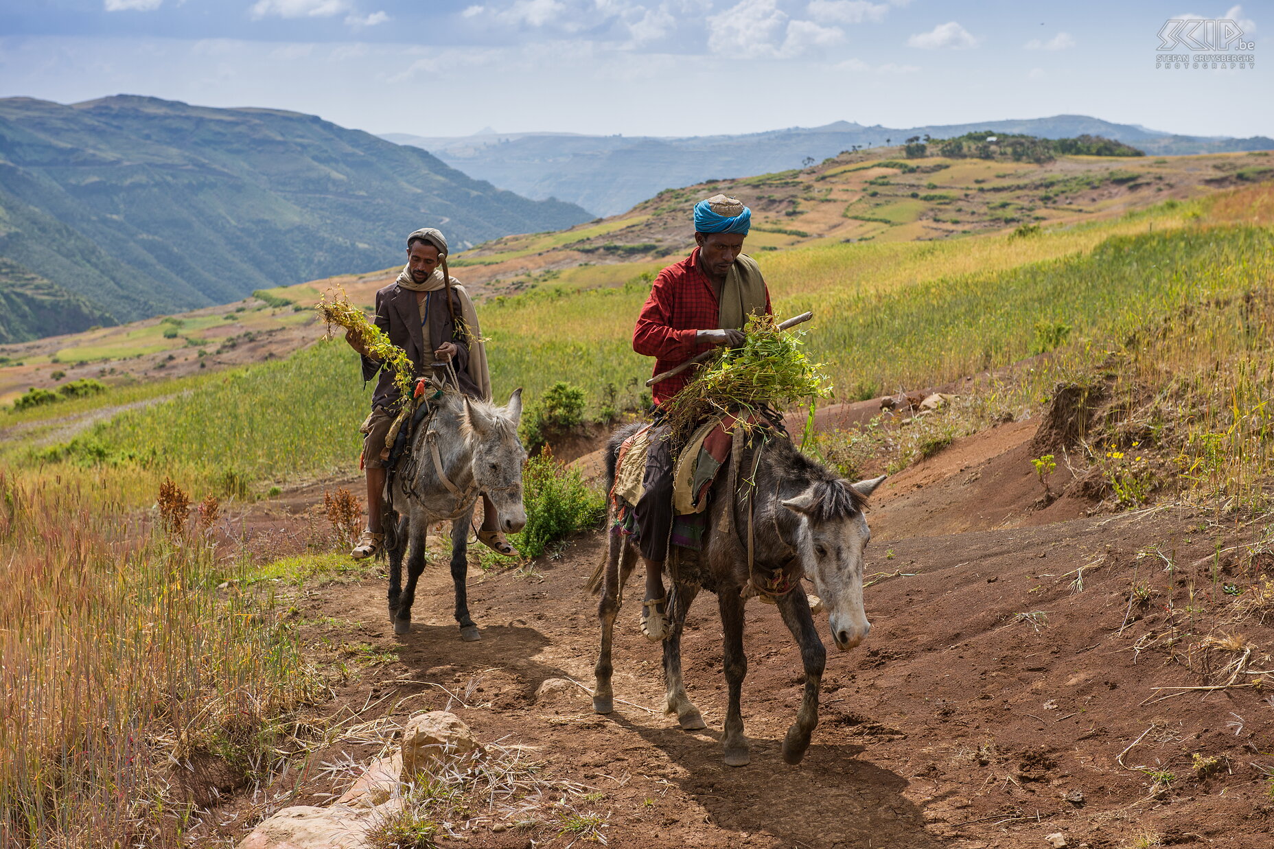 Simien Mountains - Mannen op muilezels We kwamen ook langs 2 watervallen waaronder de spectaculaire Jinbar Falls die 500m hoog is. Op het einde van de dag kwamen we voorbij het bergdorpje Geech en in de buurt is er veel terrasbouw met akkerlanden. Twee mannen op muilezeltjes kwamen ons voorbij gereden. We kampeerden 1 nacht op de kampplaats van Geech op 3600m hoogte. Stefan Cruysberghs